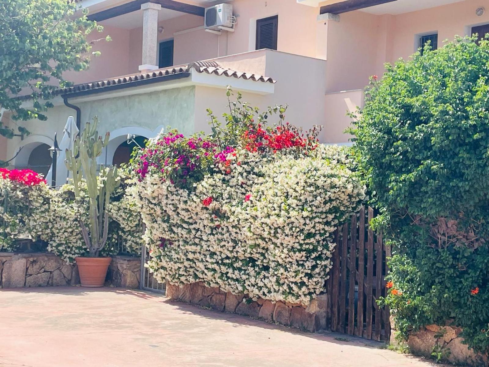Appartamento Le Querce Vaccileddi Esterno foto
